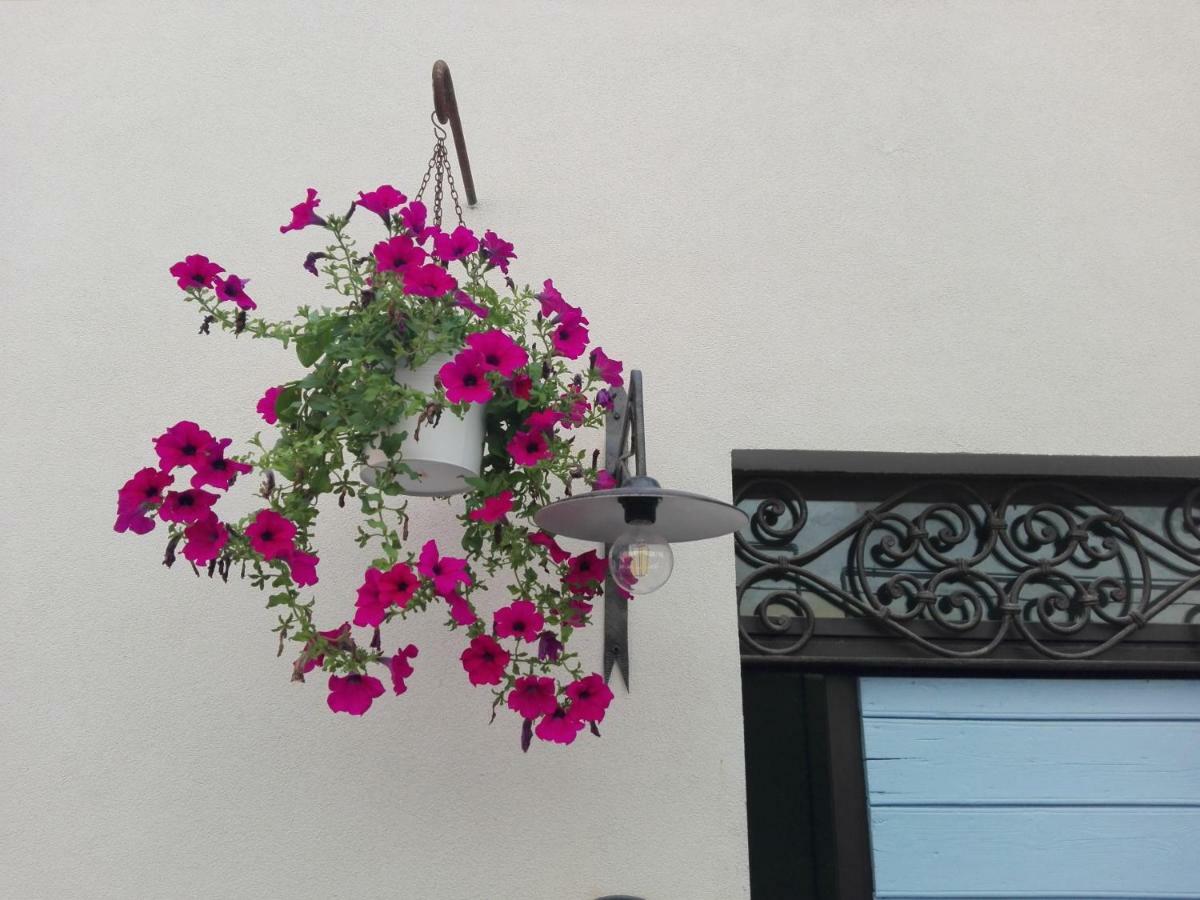Bed and breakfast Tambien